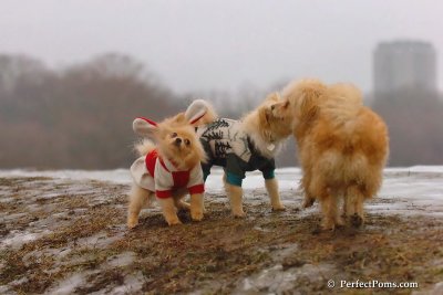 Jan6_08_230.jpg