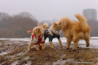 Jan6_08_231.jpg