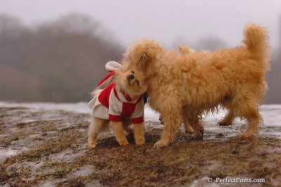 Jan6_08_234.jpg