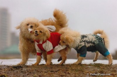 Jan6_08_249.JPG