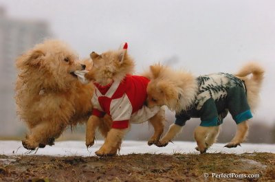 Jan6_08_250.JPG