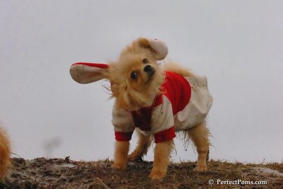 Jan6_08_270.jpg