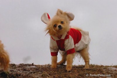 Jan6_08_271.jpg