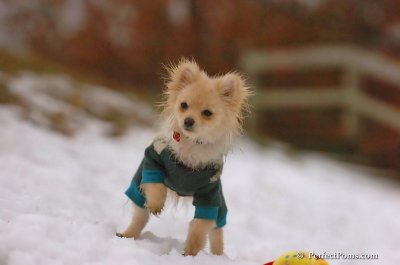 Jan6_08_272.JPG