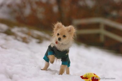 Jan6_08_273.JPG