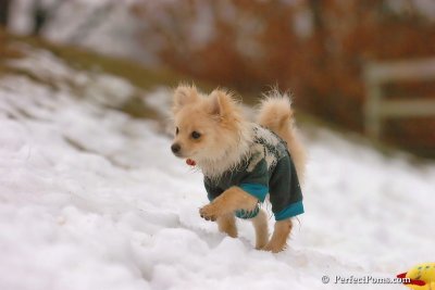 Jan6_08_274.jpg