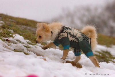 Jan6_08_275.jpg