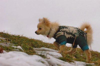 Jan6_08_276.jpg