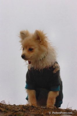 Jan6_08_278.JPG