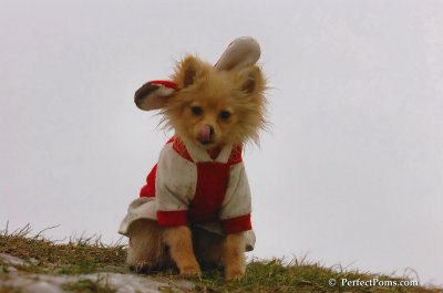 Jan6_08_279.JPG