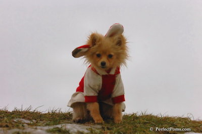 Jan6_08_280.JPG