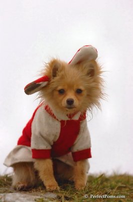 Jan6_08_281.JPG