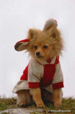 Jan6_08_283.JPG