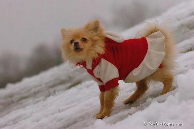 Jan6_08_077.jpg