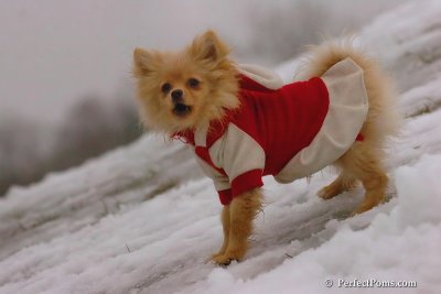 Jan6_08_078.jpg