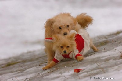 Jan6_08_084.jpg