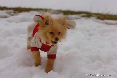 Jan6_08_101.jpg
