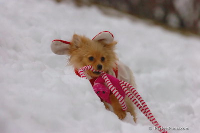 Jan6_08_118.JPG
