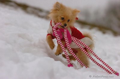Jan6_08_119.JPG