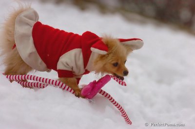 Jan6_08_125.JPG