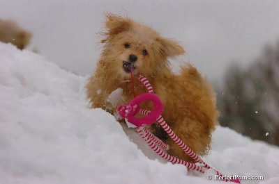 Jan6_08_128.JPG