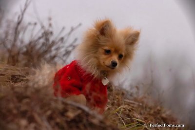 Jan13_08_717.jpg