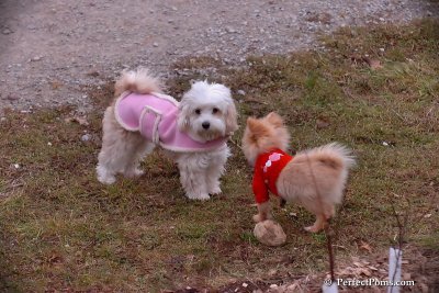 Jan13_08_719.jpg
