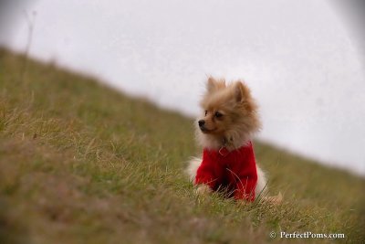 Jan13_08_208.jpg
