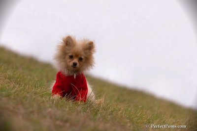 Jan13_08_209.jpg
