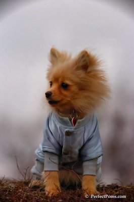 Jan14_08_092.JPG