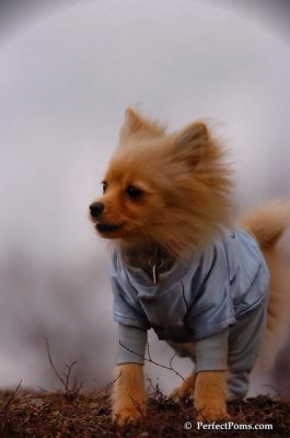 Jan14_08_094.JPG