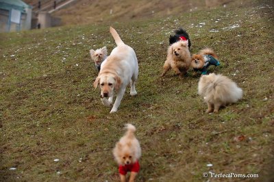 Jan17_08_211.jpg