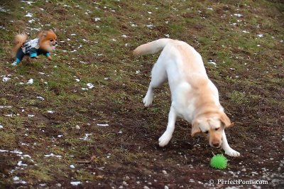 Jan17_08_223.jpg