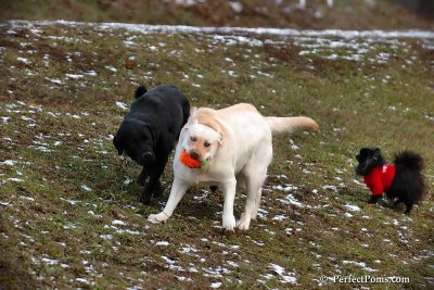 Jan17_08_226.jpg