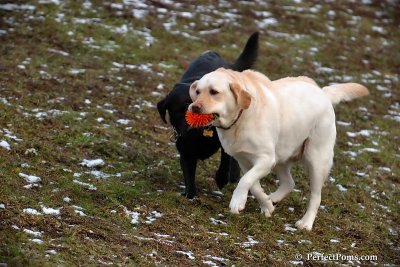 Jan17_08_228.jpg