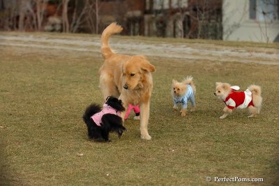 Jan19_08_034.jpg