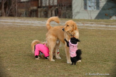 Jan19_08_036.jpg