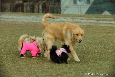 Jan19_08_037.jpg