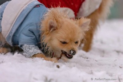 Jan22_08_329.jpg