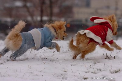 Jan22_08_337.JPG