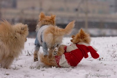 Jan22_08_338.jpg