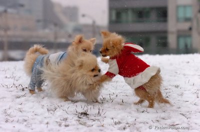 Jan22_08_340.JPG