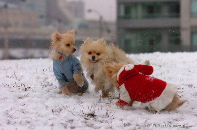 Jan22_08_344.JPG