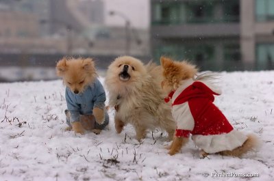 Jan22_08_348.JPG