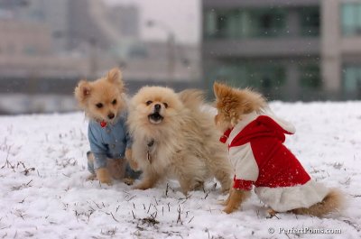 Jan22_08_349.JPG