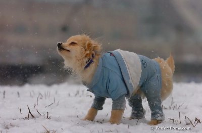 Jan22_08_358.JPG