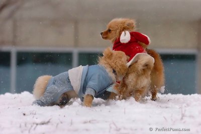 Jan22_08_372.jpg