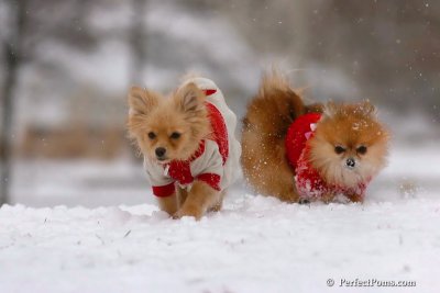 Jan22_08_376.jpg
