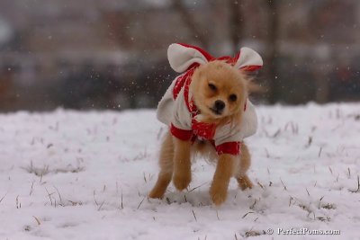 Jan22_08_380.jpg