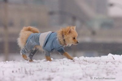 Jan22_08_383.jpg